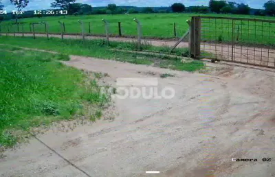 Chácara / sítio à venda na Rodovia BR-365, --, Área Rural de Uberlândia, Uberlândia
