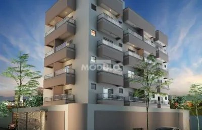 Apartamento à venda, 2 quartos, 1 suíte, 1 vaga, santa mônica - uberlândia/mg