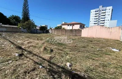 Terreno comercial para alugar na Avenida Ana Godoy De Sousa, --, Santa Mônica, Uberlândia