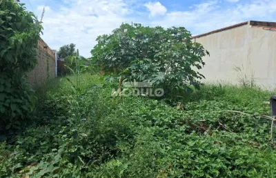 Terreno à venda na Rua Ilka de Almeida, --, Shopping Park, Uberlândia