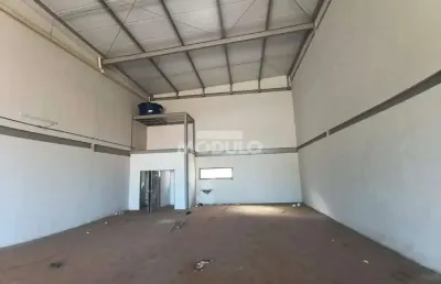 Barracão / Galpão / Depósito para alugar na Avenida João Naves de Ávila, --, Santa Mônica, Uberlândia