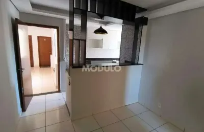 Apartamento para locação bairro jardim holanda com 3 quartos