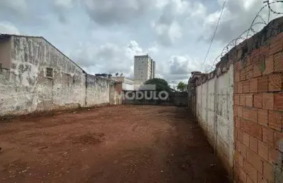 Terreno à venda, luizote de freitas - uberlândia/mg