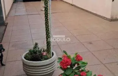Casa residencial à venda, 3 quartos, 1 suíte, jaragua - uberlândia/mg