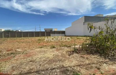 Terreno à venda na Avenida Palmeira Real, --, Novo Mundo, Uberlândia