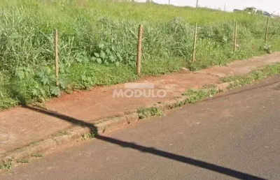 Terreno à venda na Rua Silex, --, Dona Zulmira, Uberlândia