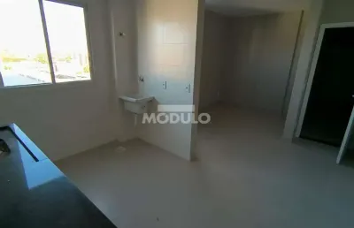 Apartamento residencial para locação, bairro brasil com 2 quartos
