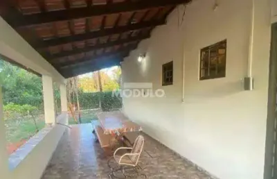 Chácara / sítio com 3 quartos para alugar na Avenida Mangalarga, --, Jockey Camping, Uberlândia