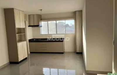 Apartamento à venda, 2 quartos, 1 suíte, 3 vagas, dona zulmira - uberlândia/mg