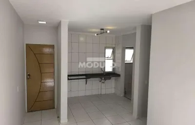 Apartamento à venda, 3 quartos, 1 suíte, 1 vaga, jardim holanda - uberlândia/mg