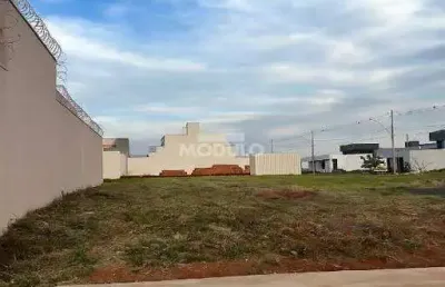 Terreno à venda, praça alto umuarama - uberlândia/mg