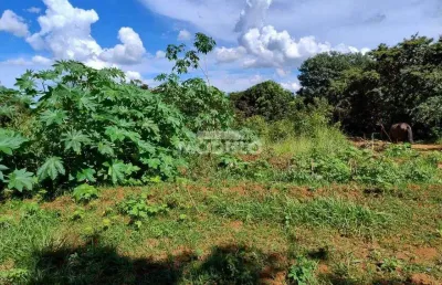 Terreno à venda na Rua Rubens Miguel, --, Morada Nova, Uberlândia