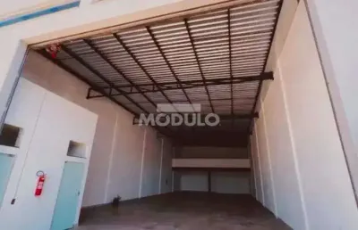 Galpão/depósito/barracão à venda, custódio pereira - uberlândia/mg