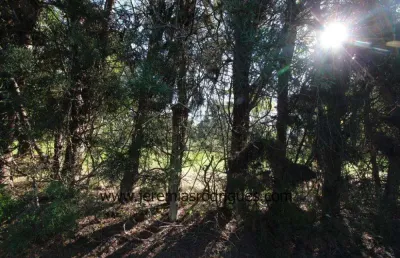 Terreno à venda no Chácaras Cataguá, Taubaté 