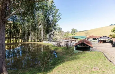 Fazenda à venda no Centro, Cunha 