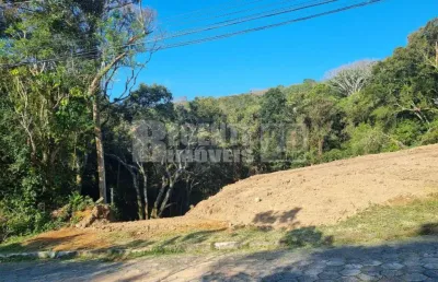 Terreno à venda na Rua Rosa, 313, Pantanal, Florianópolis