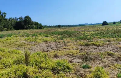 Sítio à venda em itapetininga-sp: 1 quarto, 1 banheiro e 992.200,00 m² de área na área rural