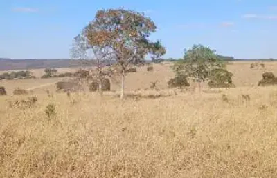 Fazenda disponível pra venda......no estado de goiás........no município de luziania. goiás......valor da pedida 230.000.00 por alqueires........ou ta