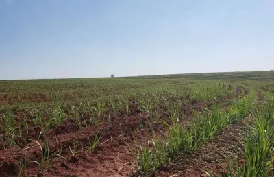 Fazenda à venda em nova granada-sp, zona rural: 1 quarto, 1 banheiro, 1.718.200,00 m² de área. venha conferir!