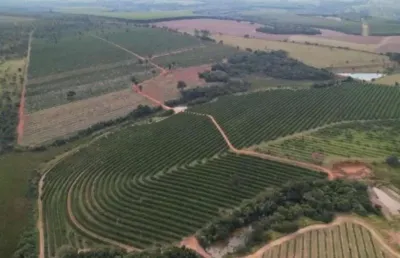Fazenda de laranjas 170 alqueires   97 alqueires em laranja  podendo plantar mais 20 alqueires   106.328,00 pés de laranja  variedades: pêra rio, folh