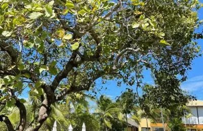 Casa duplex 70m2 2 dorms 1 suíte, 1 vaga superior norte-sul condomínio: ?acesso direto à rua da praia ?ampla área verde a beira da lagoa ?10 min à pé
