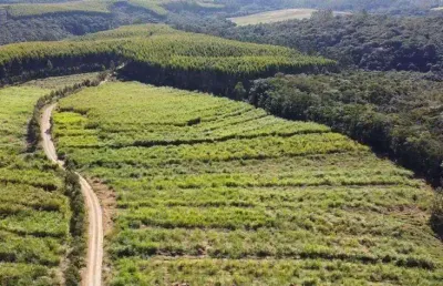 Sitio  19 alqueires   - aproveitamento de 13 alqueires   - boa topografia  - ribeirão com ótimo fluxo de água   - 9 km do asfalto, ótima estrada   - c