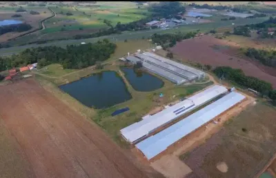 Sitio c/ granja 8 alqueires, 6 barracões modernos sendo 2 barracões novo, granjas automáticas, 220 mil frangos, energia solar e gerador, boa de água
