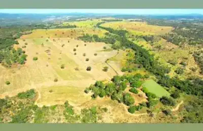 Fazenda 46 alqueires  dupla aptdão anápolis- go 15 km do daia 03 km de estrada de chão 21 alqueires planta 75 há  argila 28% toda cercada  córrego nas