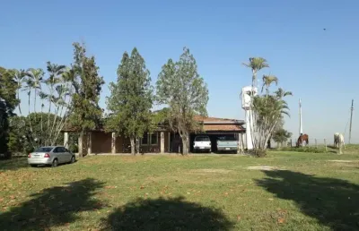 Fazenda 81,5 alqueires, 56 alqueires em cana, usina grupo zambianco 40 toneladas 10 alqueires em grãos restante pasto, reserva e app terra mista verme