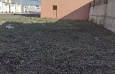 Terreno 209m2 plano jardim das orquideas, otima localização