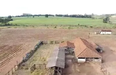 Fazenda área total 88,75 alqueires área em cana 55,6 alqueires 14 alqueires a 50 toneladas 41,6 alqueires a 40 toneladas 3,5 alqueires em pasto