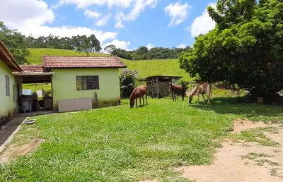 Sítio 10 alqueires ótima área para gado, eucalipto ou pinus casa sede boa e galpão simples boa de água, córrego e nascentes  formada em pasto