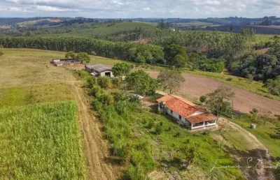 Sítio 10 alqueires, porteira fechada, dois trator, 40 cabeça de búfalo, 2 casas, 1 barracão, três estufas, rico em água com lago, ótima localização