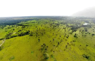 Fazenda 335 alqueires, 260 alqueires em pasto, 900 hectares podendo plantar, 100% plana, rica em água, casa sede, curral, ótima localização