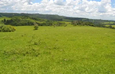Fazenda 162 alqueires, formada em pasto para pecuária ou eucalipto, casa sede simples, casas empregados, curral, açudes, topografia ondulada