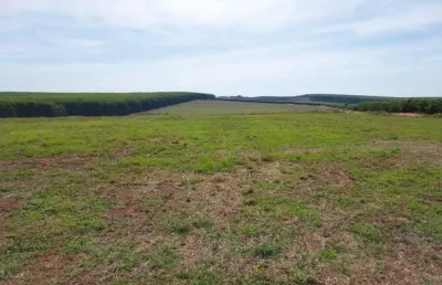 Fazenda a venda na região de bauru-sp ??   - área total de 71 alqueires ou 171,82 hectares   - 62 alqueires ou 151 hectares em plantio de grãos   -