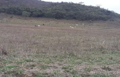 Fazenda 190 alqueires, rica em água com 9 nascentes, 100 alqueires em pasto, 70 alqueires em milho ou soja, casa sede e caseiro, curral