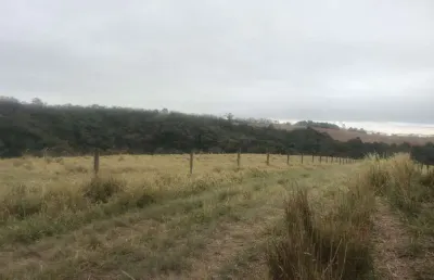Fazenda 59 alqueires, rico em água com córrego e nascentes, formada em pasto na pecuária, terra mista, boa topografia, poço artesiano, 3 casas