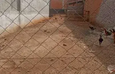 Terreno 150m2, documentação ok, ótima localização, pronto para construir