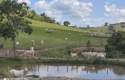 Fazenda 250 hectares, rica em água com 15 nascentes, 12 divisões de pasto, 50 hectares agricultáveis, currais, casas caseiro, casa sede 220m2