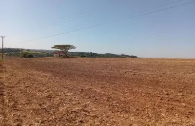 Fazenda a venda em são miguel arcanjo-sp ??  - área total 47 alqueires - atualmente 8 alqueires em lavoura - aproximadamente 27 alqueires em pasto -