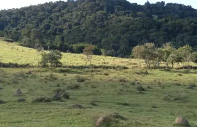 Fazenda 125 alqueires, rica em água com varias nascentes, represa e rio, casa sede, 2 casas caseiro, curral, rancho, ótima localização