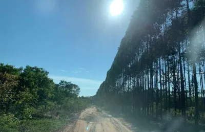 Fazenda com eucalipto a venda em minas gerais - mg ??   - localizada em brasilândia-mg * área total 14.600 hectares  * 800 hectares no ponto de cort