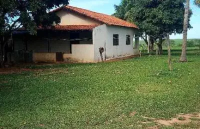 Fazenda pecuária 131 alqueires   aproveitamento 110 alqueires para cana  estimativa de 48 toneladas conforme a usina raízen   rica em água   margeia 2