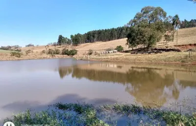 Sítio 25 alqueires, 5 alqueires com eucalipto, bom de água, lago, terra vermelha, casa pra caseiro