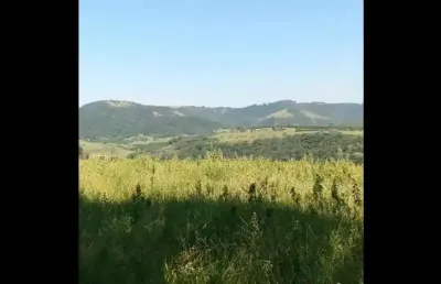 Sítio 12 alqueires, bom de água, córrego e nascente dentro da propriedade, casa simples, lago