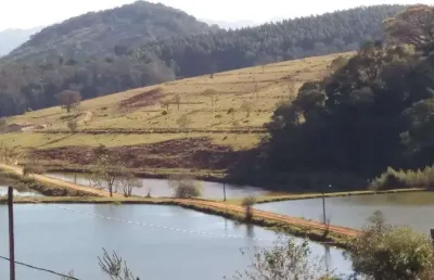 Fazenda 96 alqueires, rica em agua, nascentes e represas, margem do asfalto casa sede, casa colono, tripla aptidão:agrícola,pecuária e piscicultura
