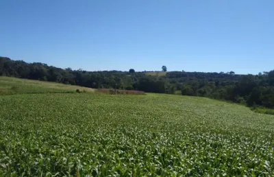 Sítios 6 alqueires, sem casa, só terra, rico em água, 25 km de itapetininga