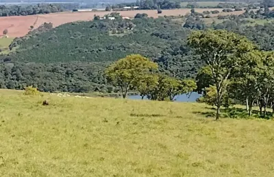 Fazenda com 42 alqueires, agua, não tem casa, localização nobre, em frente ao asfalto, sitio para criação de gado corte