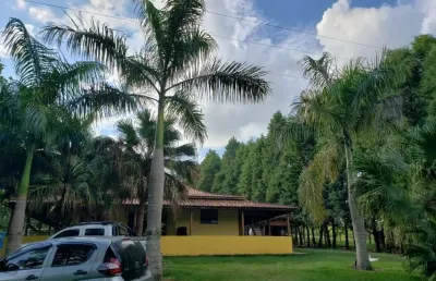 Sítio 6,5 alqueires terra mista,boa p/criação de gado, casa sede 150m2 avarandada 3 dorms,sala,cozinha,2 banheiros,casa de caseiro,
